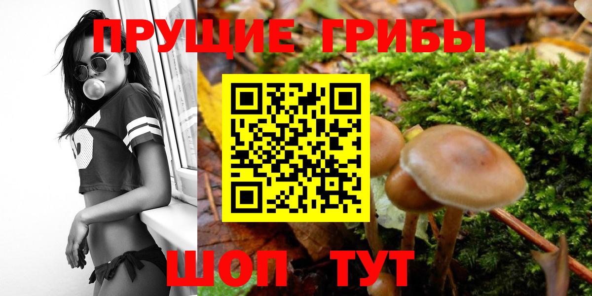 Галлюциногенные грибы Cubensis  Вход с VPN  Чебаркуль  Псилоцибиновые грибы прущие грибы 